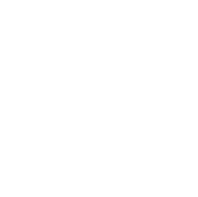 BRluxuryRentalCars